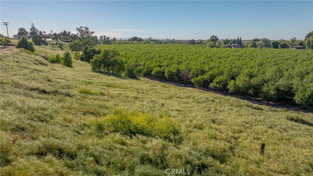 0 Livingston Cressey Road Livingston, CA 95334 - Photo 21 of 30 a view of a big yard with green space
