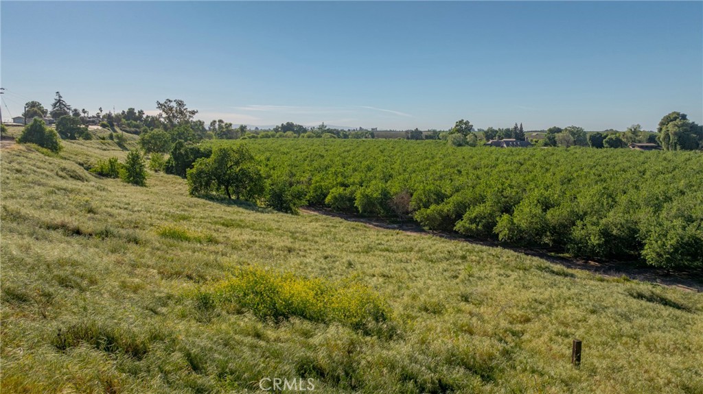 0 Livingston Cressey Road Livingston, CA 95334 - Photo 23 of 30 a view of a field with a tree in the background