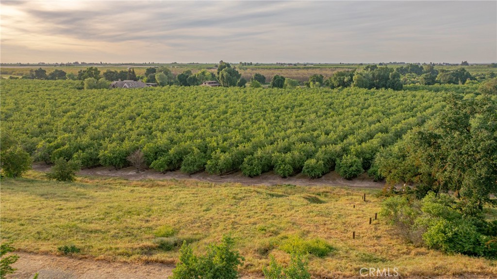 0 Livingston Cressey Road Livingston, CA 95334 - Photo 24 of 30 a view of a field with an ocean