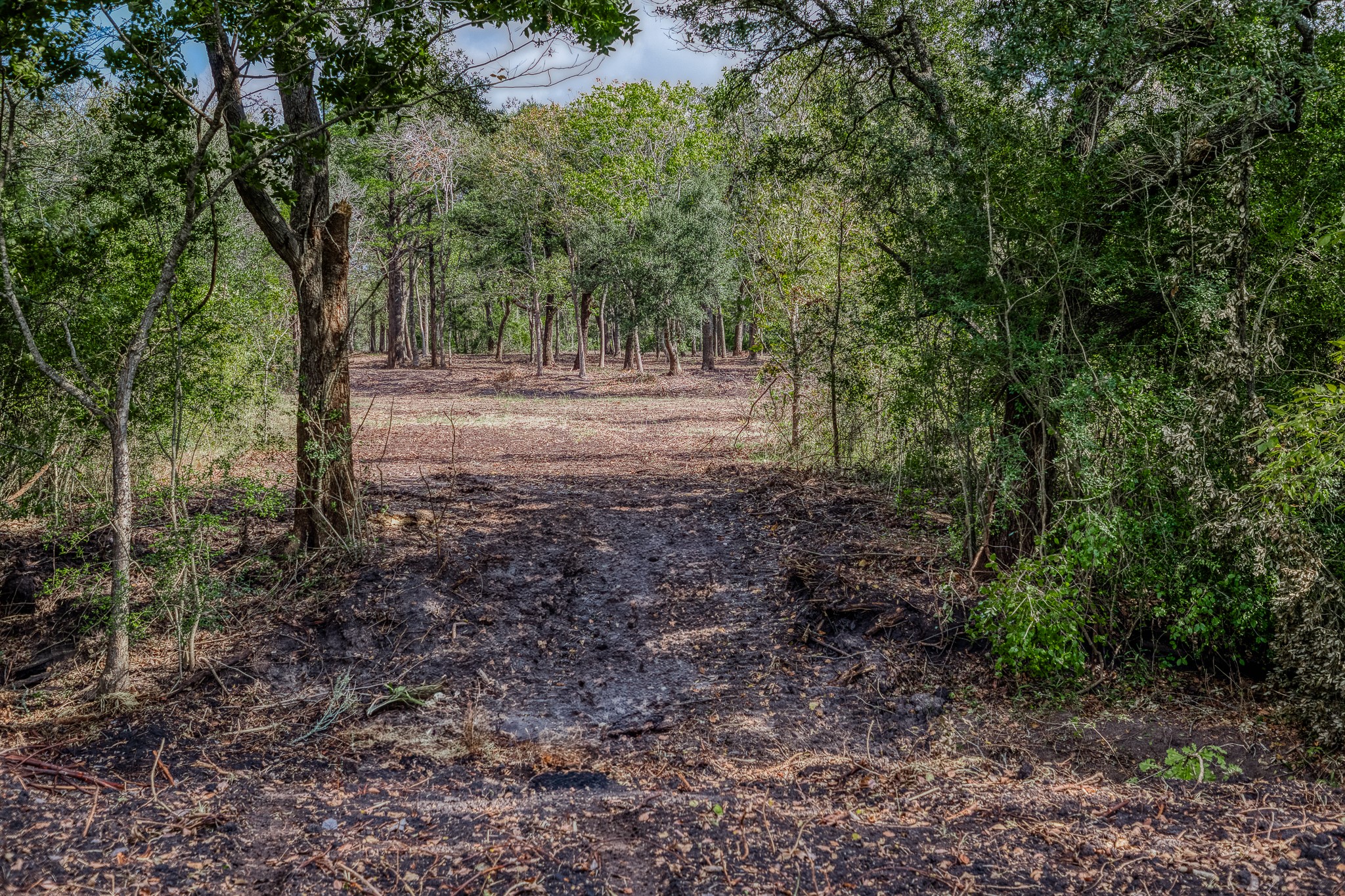 2 Sun Oil Road Brenham, TX 77833 - Photo 21 of 35