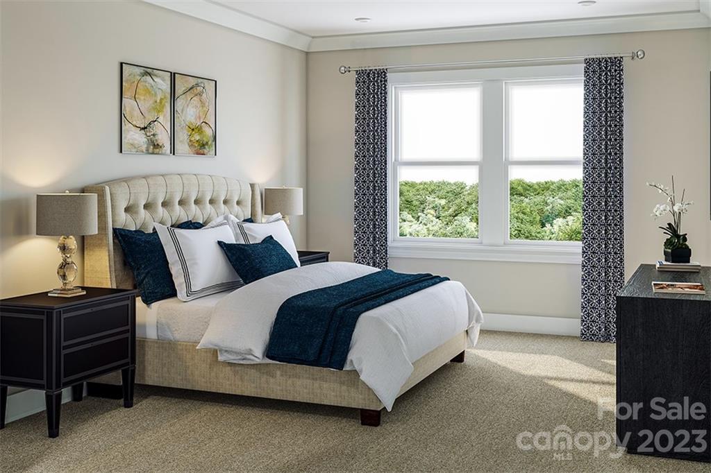 266 Brooks Springs Drive Fort Mill, SC 29708 - Photo 6 of 18 Gallery Image 6