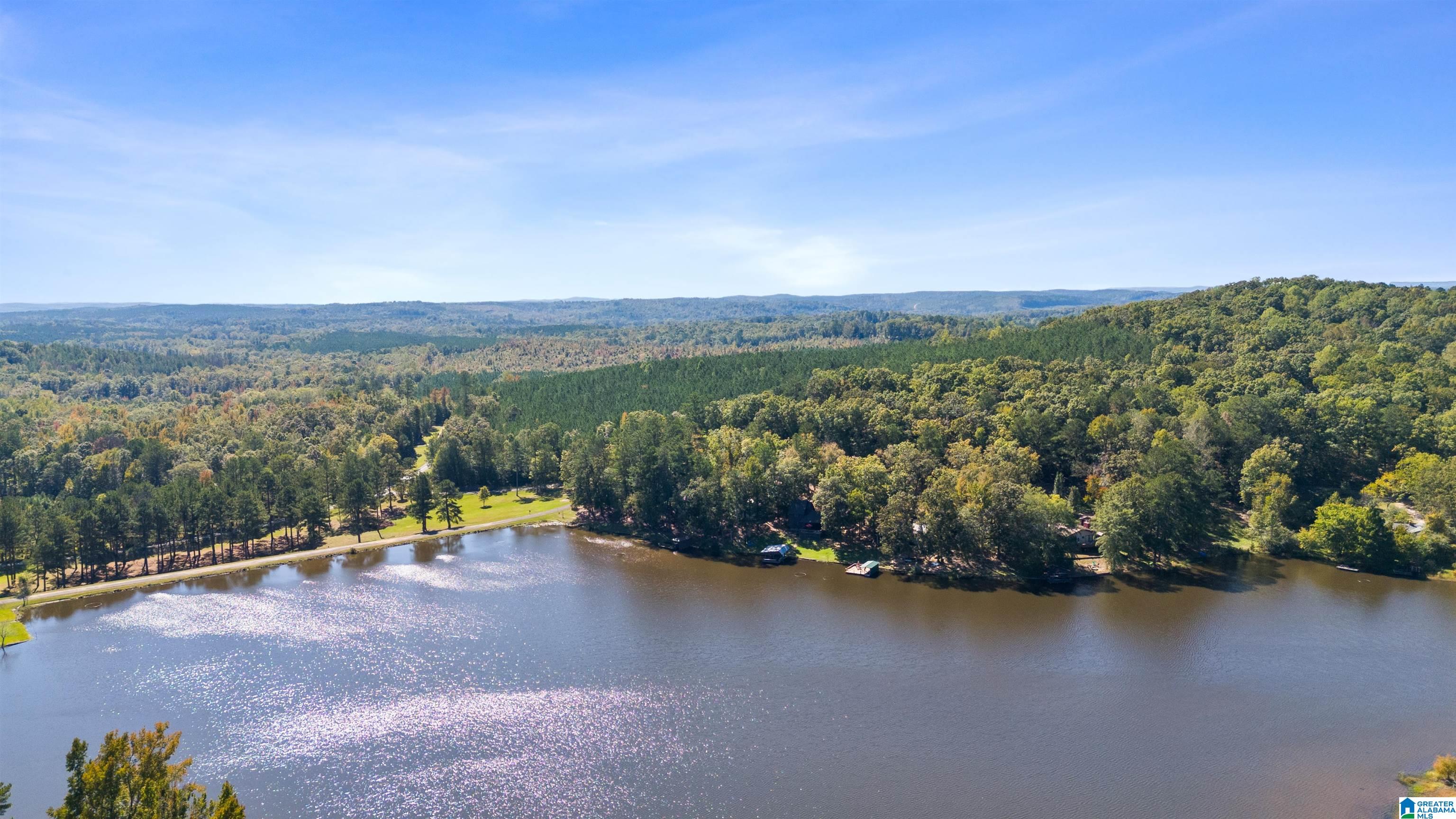 136 Harkins Lake Road Fayette, AL 35555 - Photo 3 of 44