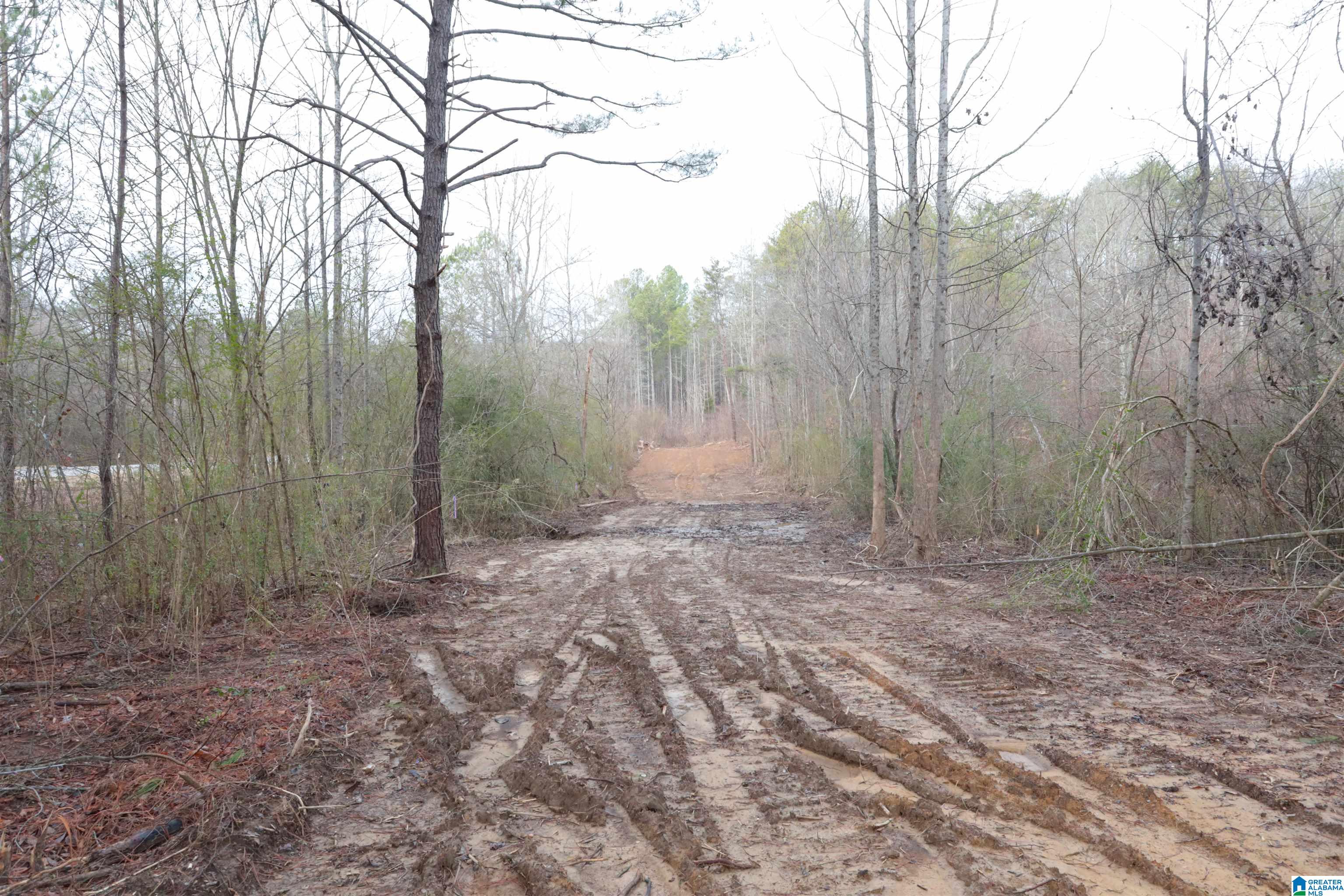 8751 Groundhog Road, Unit 41 ACRES Adger, AL 35006 - Photo 13 of 17