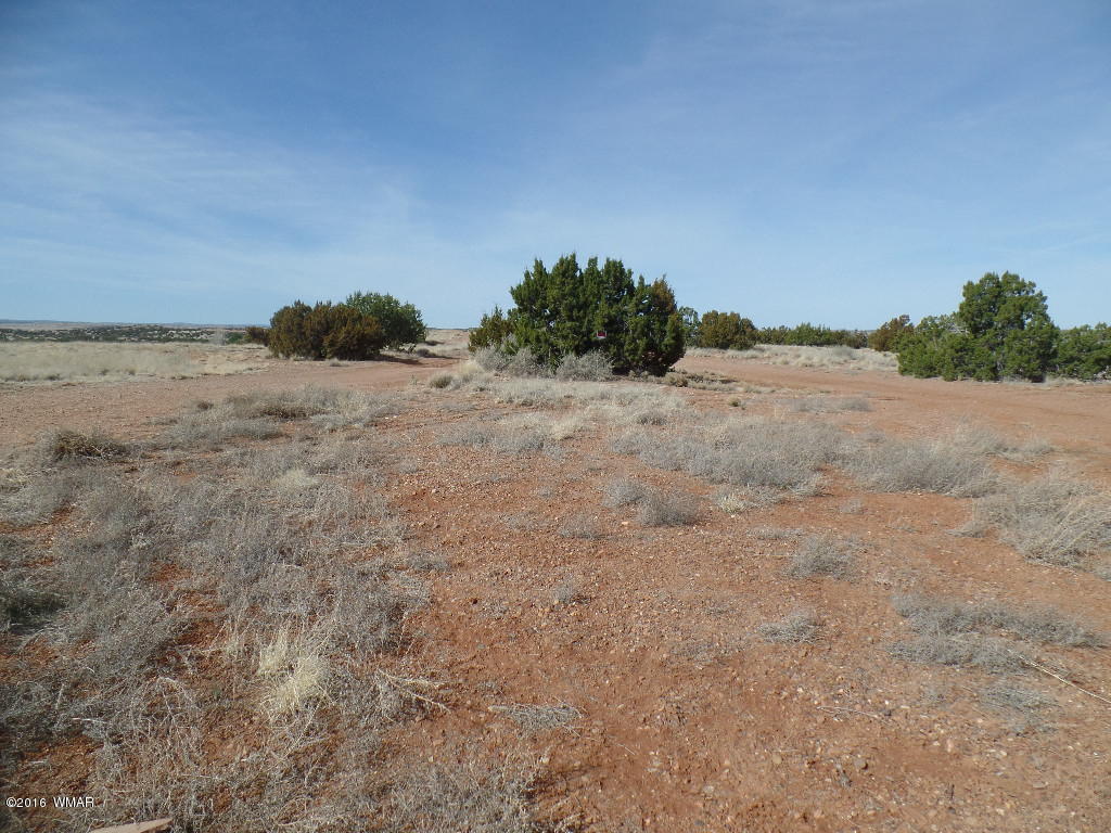 Tbd South Staley Road Snowflake, AZ 85937 - Photo 1 of 15