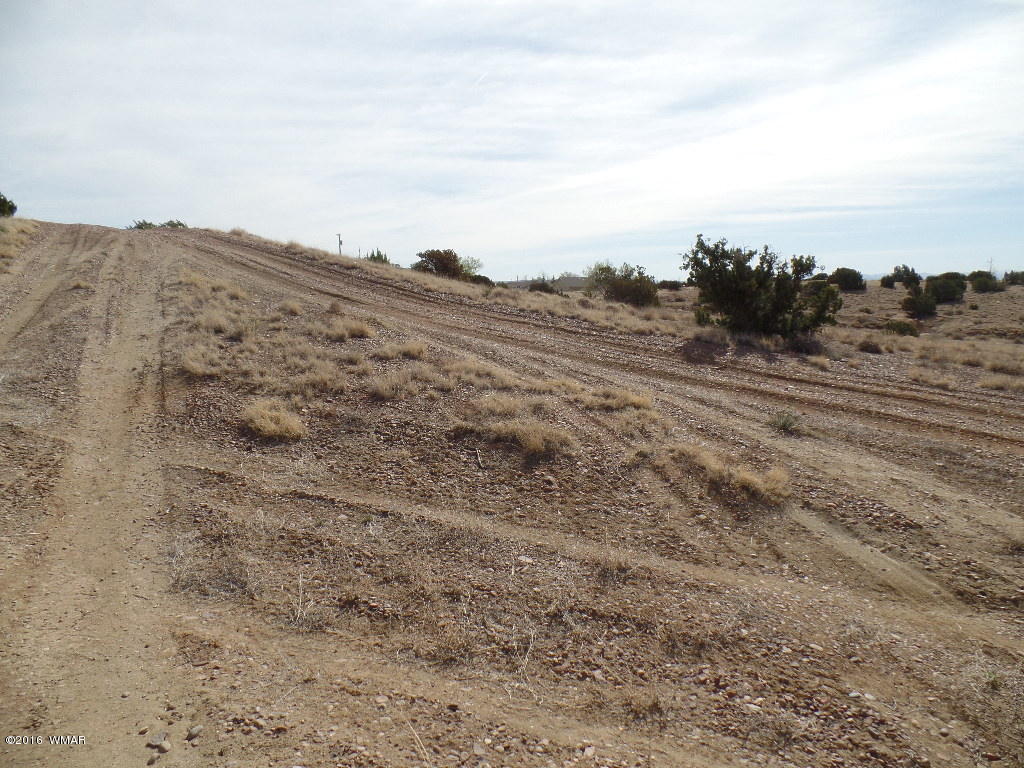 Tbd South Staley Road Snowflake, AZ 85937 - Photo 11 of 15