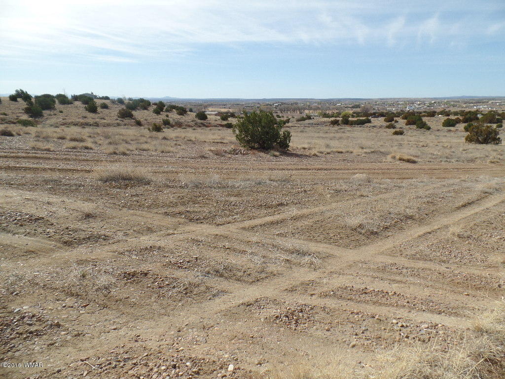 Tbd South Staley Road Snowflake, AZ 85937 - Photo 12 of 15