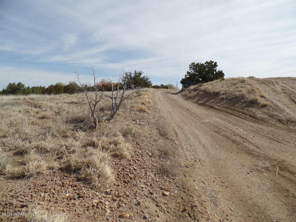 Tbd South Staley Road Snowflake, AZ 85937 - Photo 13 of 15