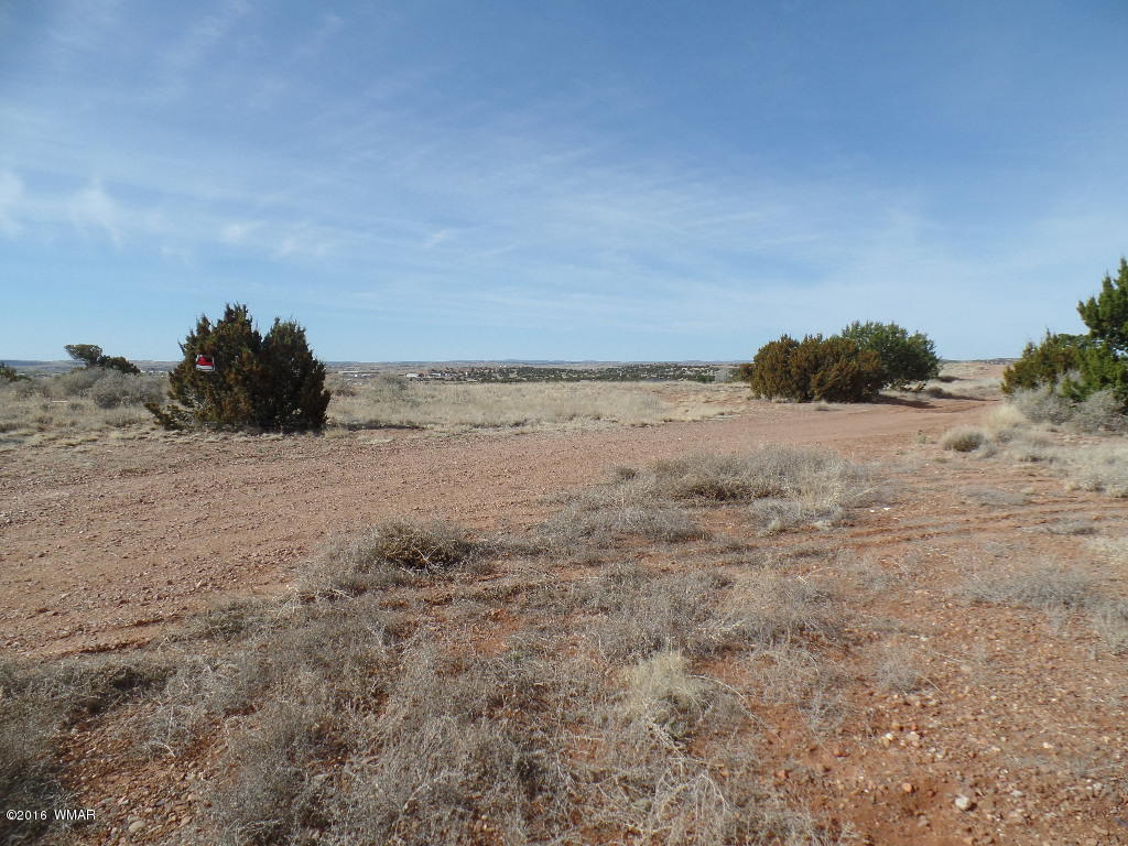 Tbd South Staley Road Snowflake, AZ 85937 - Photo 14 of 15