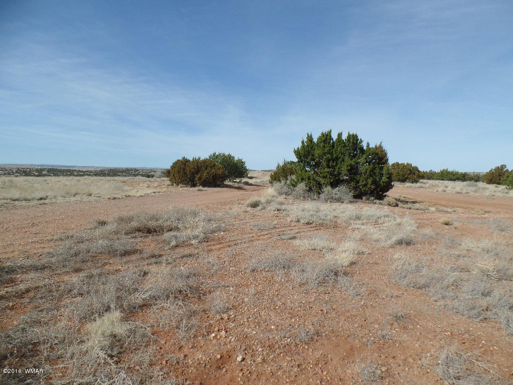 Tbd South Staley Road Snowflake, AZ 85937 - Photo 15 of 15