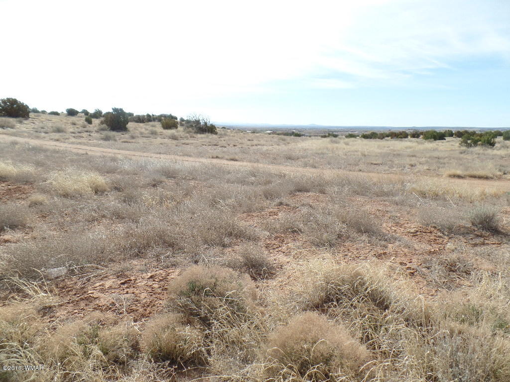 Tbd South Staley Road Snowflake, AZ 85937 - Photo 2 of 15