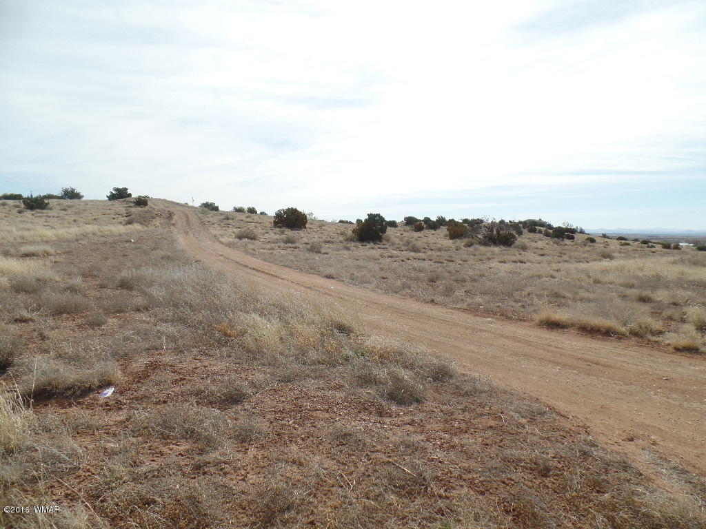 Tbd South Staley Road Snowflake, AZ 85937 - Photo 3 of 15