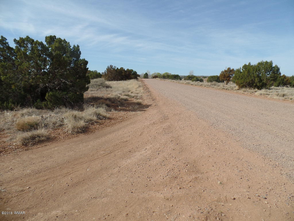 Tbd South Staley Road Snowflake, AZ 85937 - Photo 4 of 15