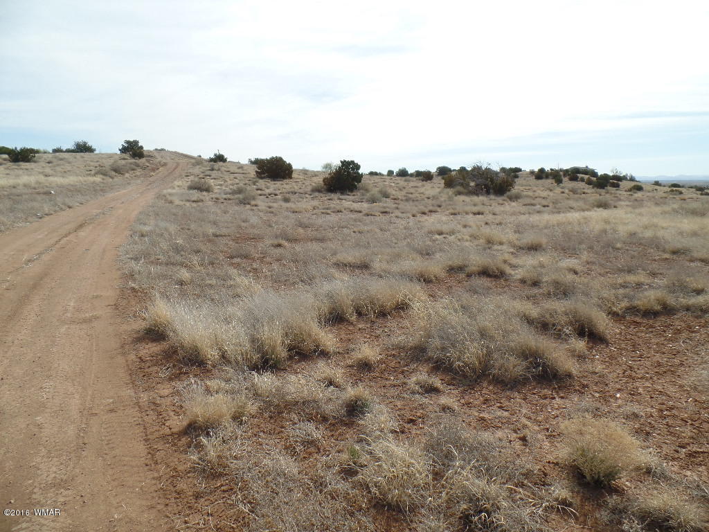 Tbd South Staley Road Snowflake, AZ 85937 - Photo 5 of 15