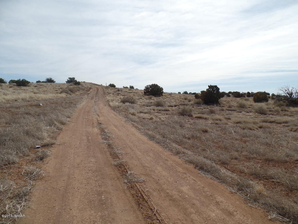 Tbd South Staley Road Snowflake, AZ 85937 - Photo 6 of 15