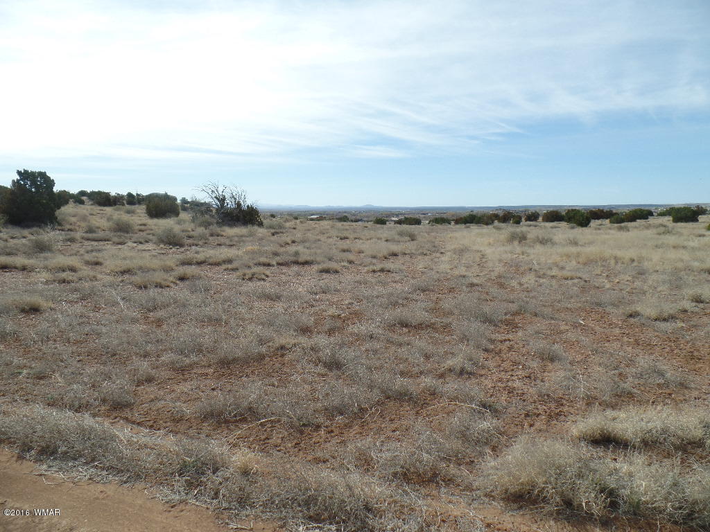 Tbd South Staley Road Snowflake, AZ 85937 - Photo 7 of 15