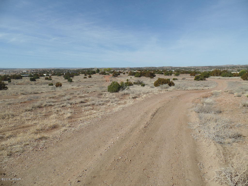 Tbd South Staley Road Snowflake, AZ 85937 - Photo 8 of 15