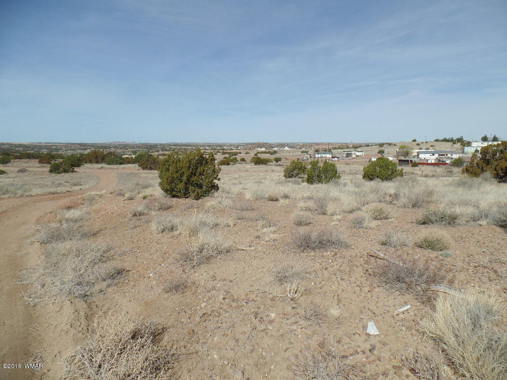 Tbd South Staley Road Snowflake, AZ 85937 - Photo 9 of 15