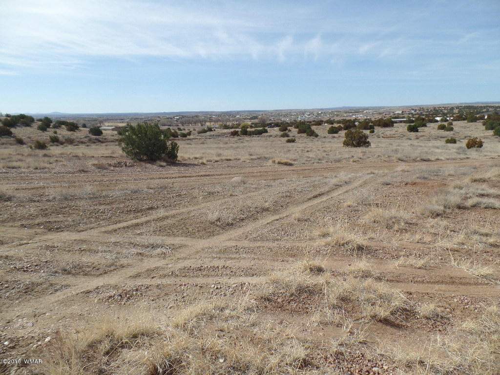 Tbd South Staley Road Snowflake, AZ 85937 - Photo 10 of 15