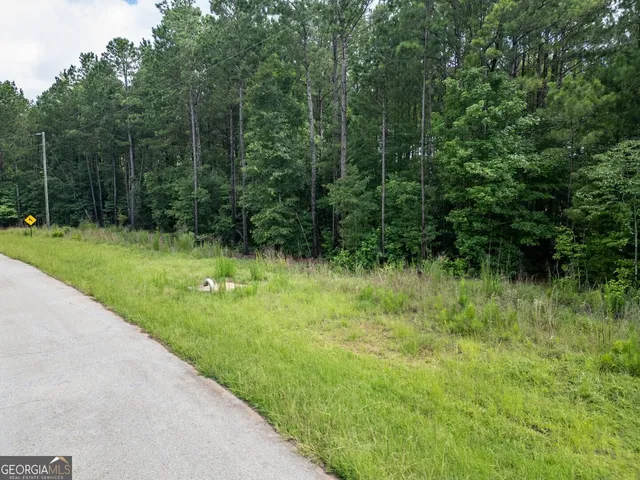 $125,000 | 171 Preservation Avenue, Jackson, GA 30233