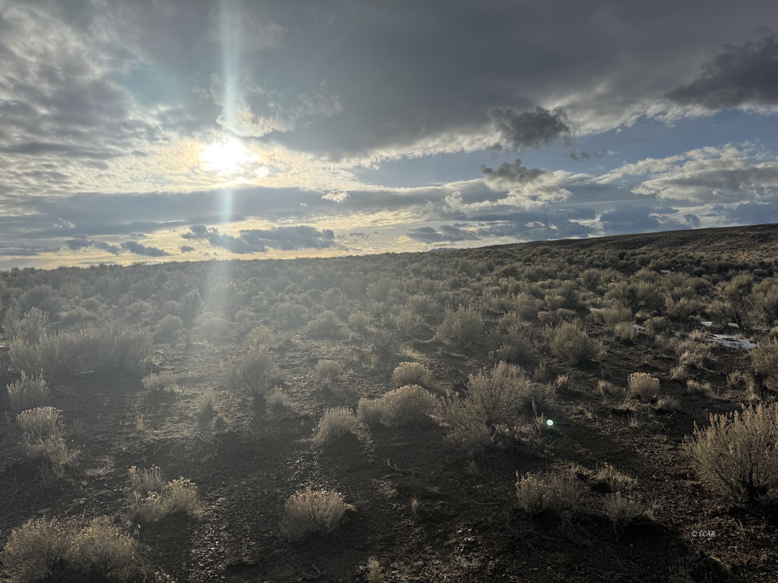 Tbd 5th Street Elko, NV 89801 - Photo 4 of 11