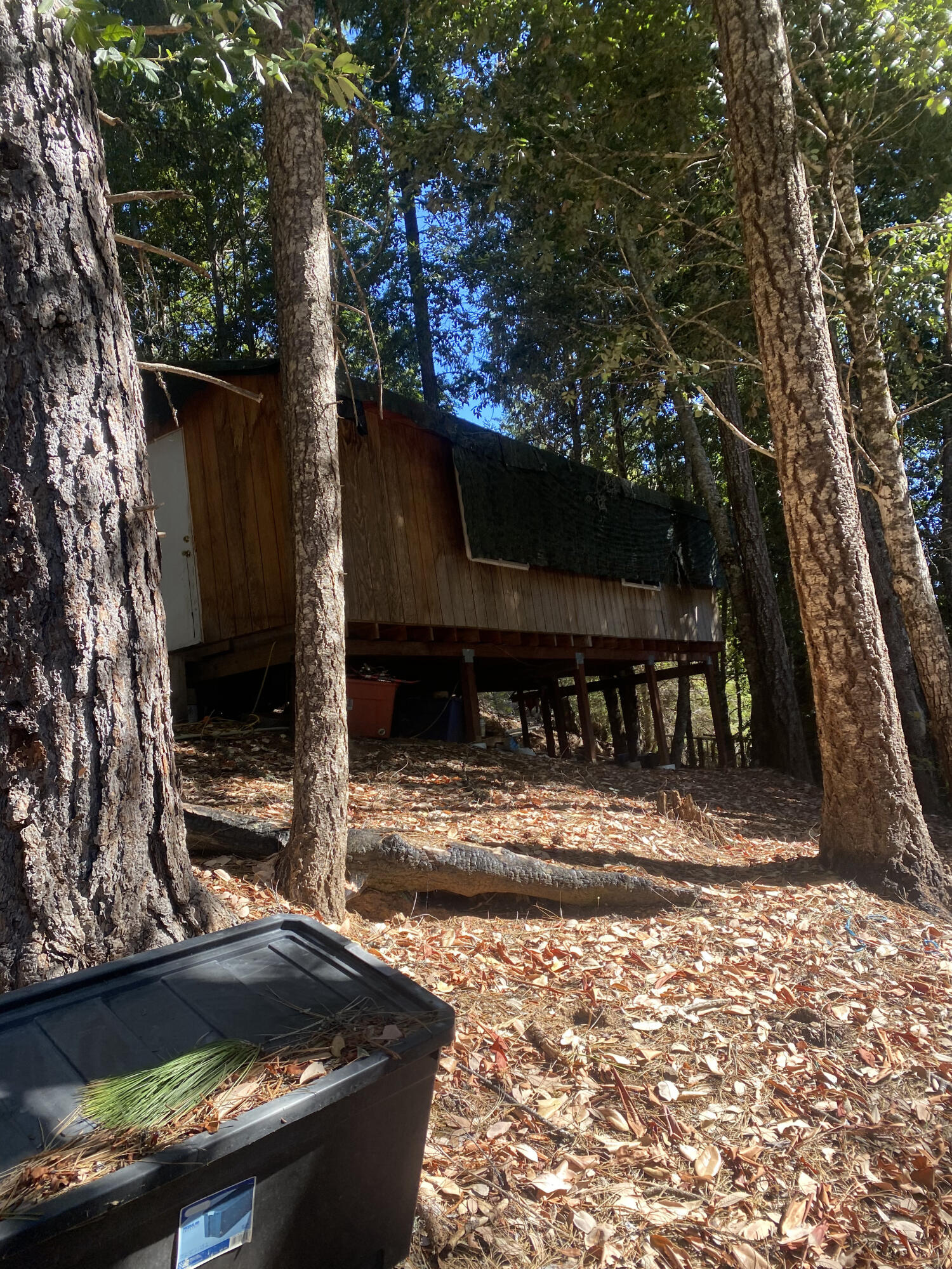 1255 Mcdonald Creek Road Burnt Ranch, CA 95527 - Photo 11 of 44