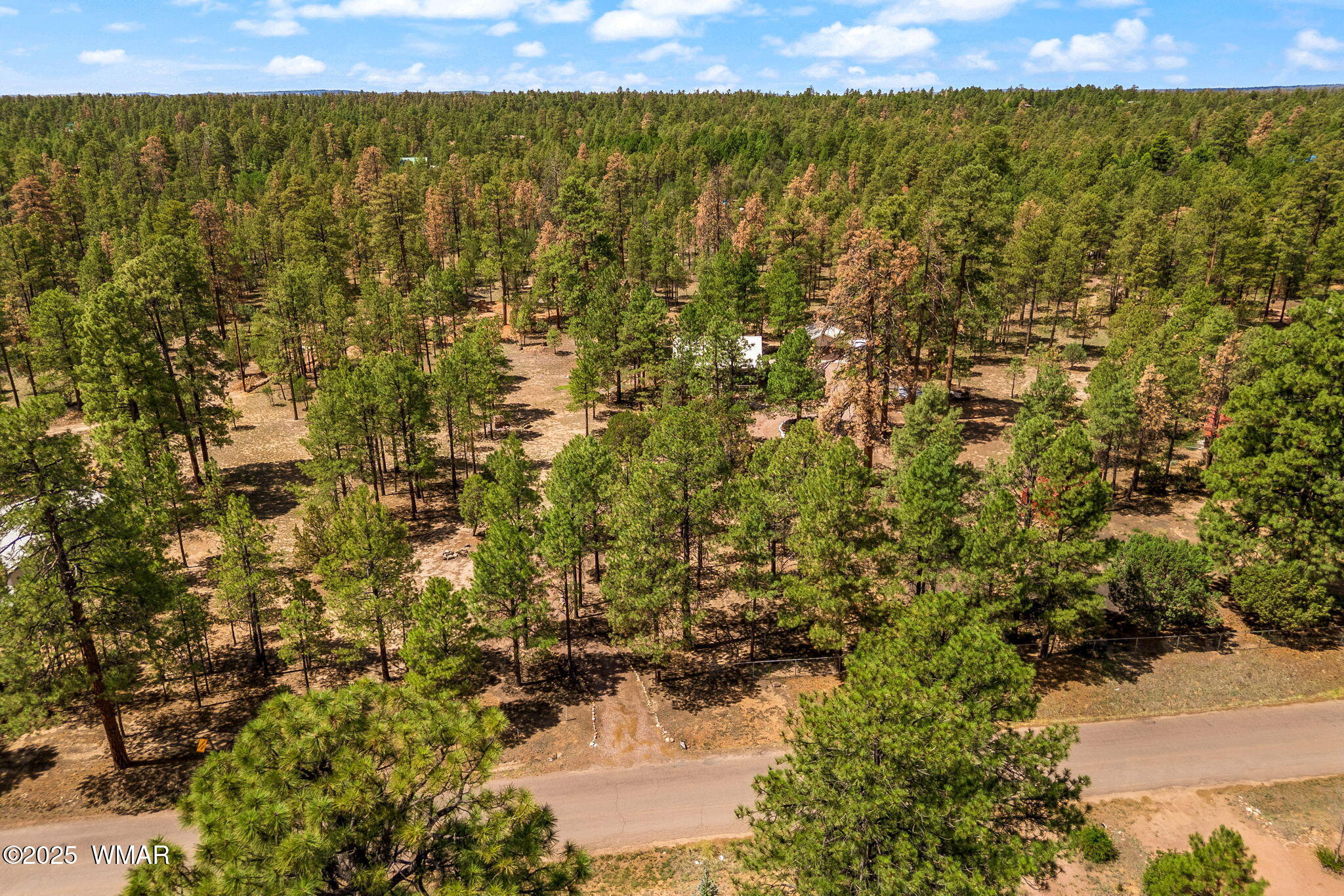 2840 Pine Rim Road Overgaard, AZ 85933 - Photo 37 of 38 Gallery Image 37