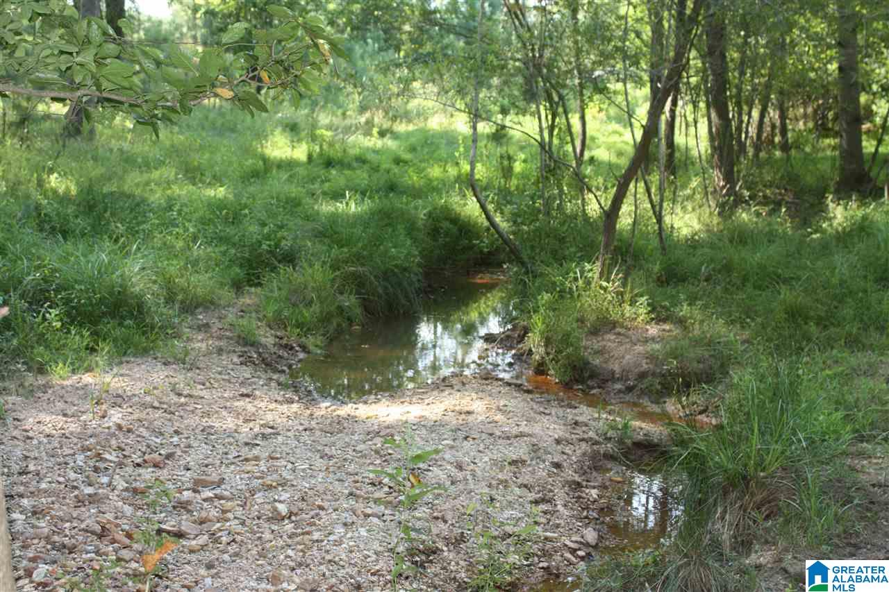 0 Louina Road Roanoke, AL 36274 - Photo 3 of 33