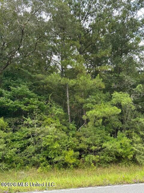 613 Mississippi Moss Point Moss Point, MS 39562 - Photo 2 of 3 20250611204338097526000000-o