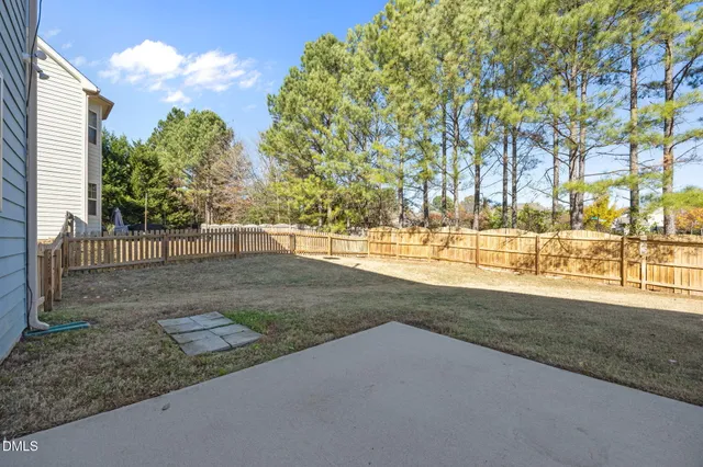 a view of a yard with plants and trees
