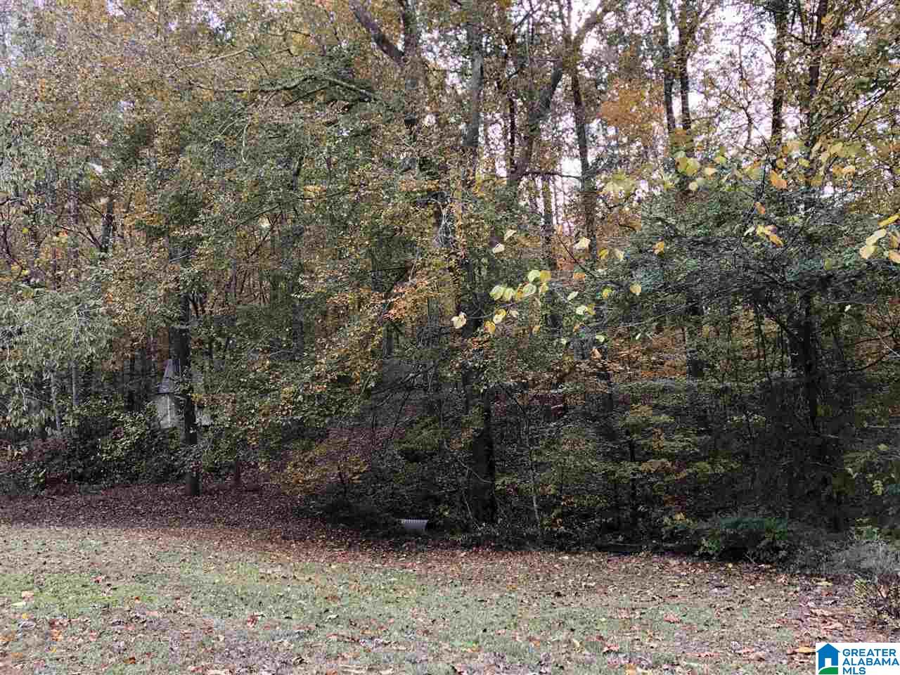 706 Valley Trail Warrior, AL 35180 - Photo 14 of 15