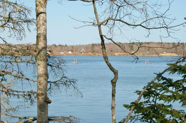 $589,000 | Lot 1 Birch Point Lane, Unit 1, South Thomaston, ME 04858