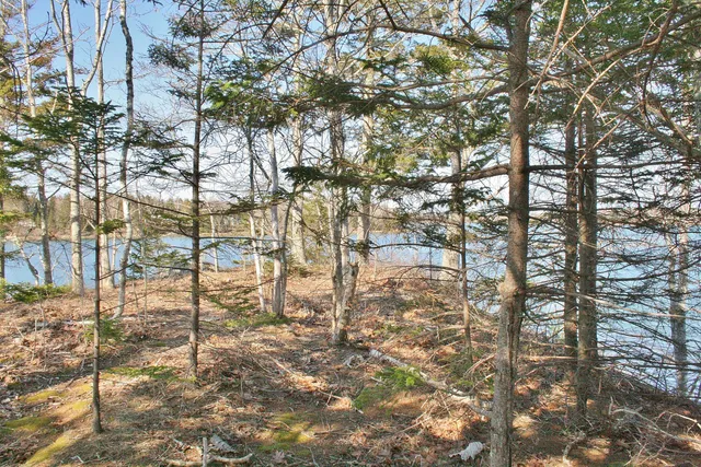 $589,000 | Lot 1 Birch Point Lane, Unit 1, South Thomaston, ME 04858