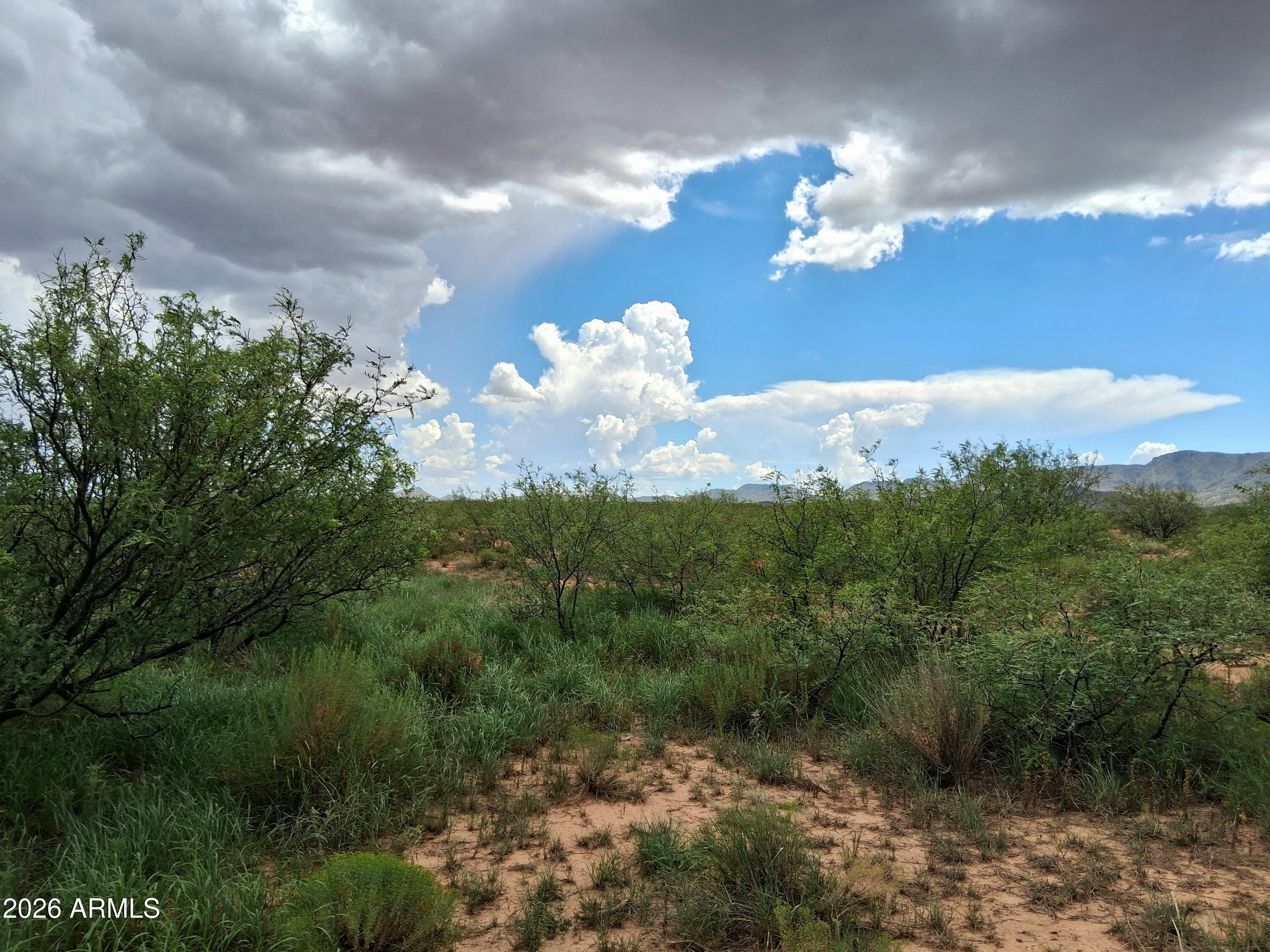 Tbd Central Road, Unit 27 Pearce, AZ 85625 - Photo 12 of 27 20260729_135638