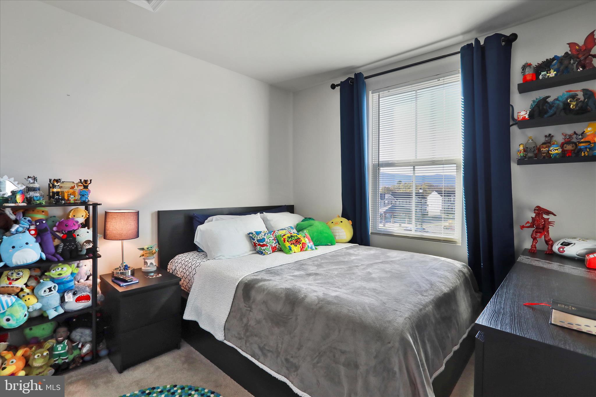 206 Spring Place Strasburg, VA 22657 - Photo 24 of 30