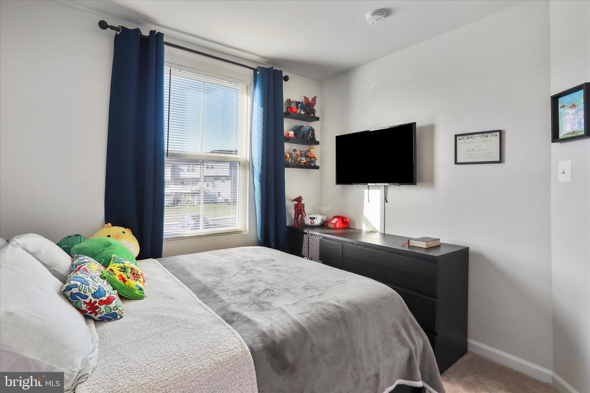 206 Spring Place Strasburg, VA 22657 - Photo 25 of 30