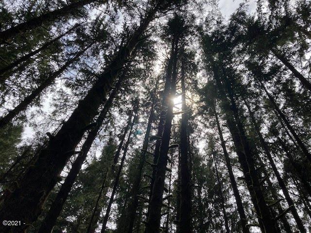 Lot Northeast East Line Road Yachats, OR 97498 - Photo 13 of 15 15