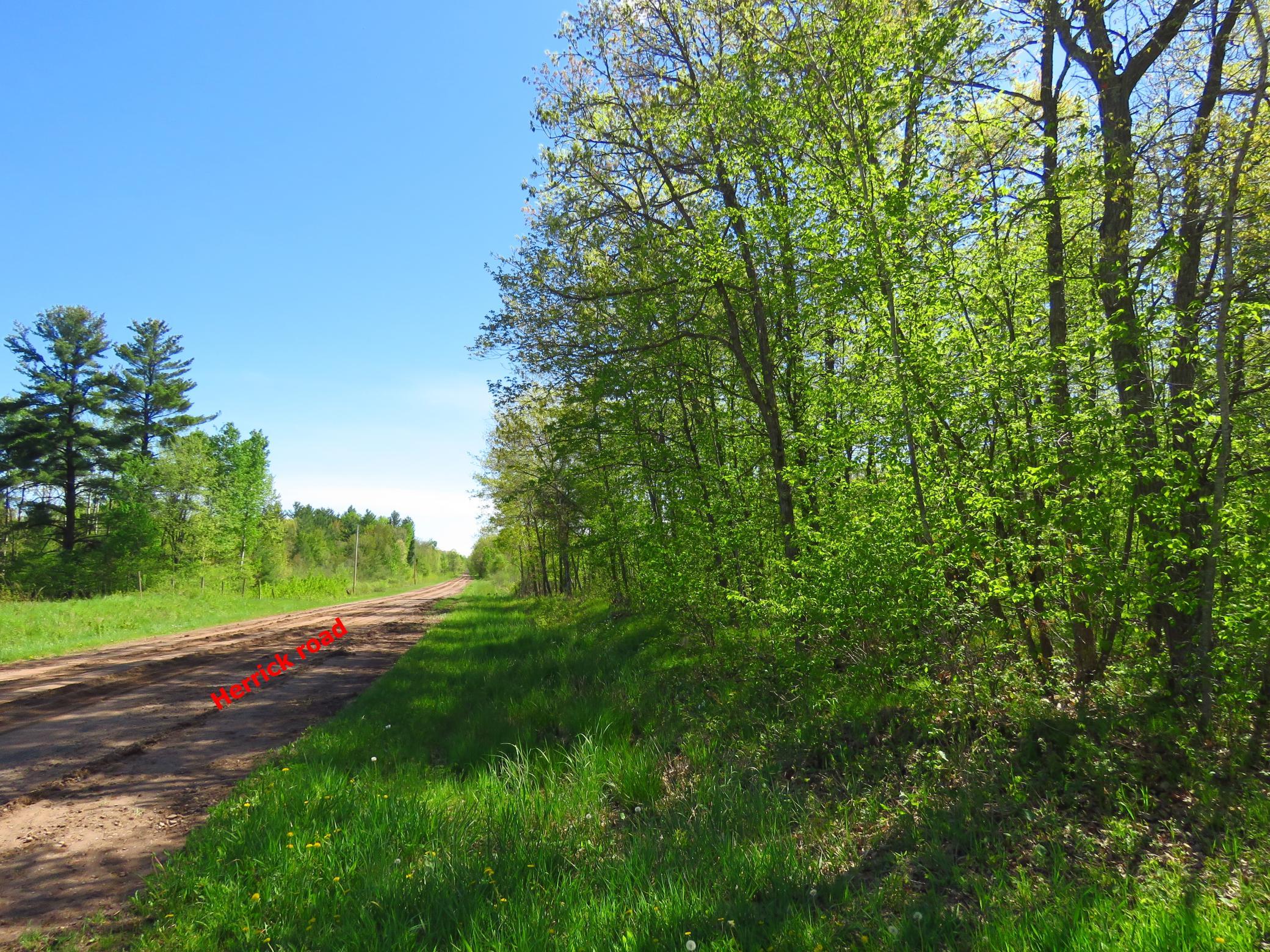 Xxx Xxx Herrick Road Frederic, WI 54837 - Photo 11 of 21