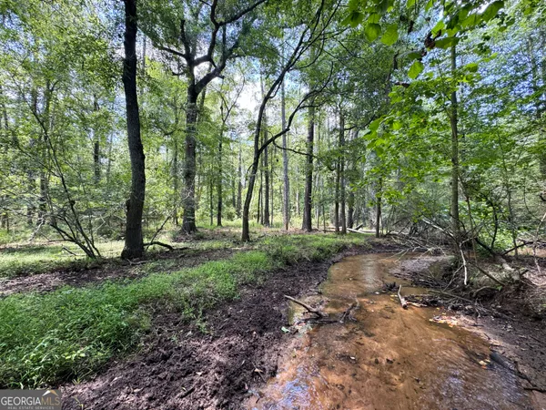 $2,452,050 | Tbd Tbd Wooten Road, Cuthbert, GA 39840