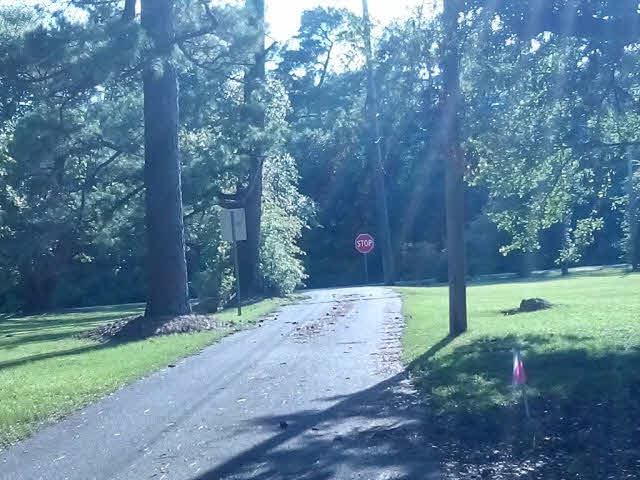 6311 Rich Road Fairhope, AL 36532 - Photo 7 of 14 Rich Road