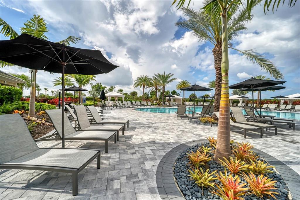 15013 Montello Way Bradenton, FL 34211 - Photo 94 of 100 a view of swimming pool with a patio