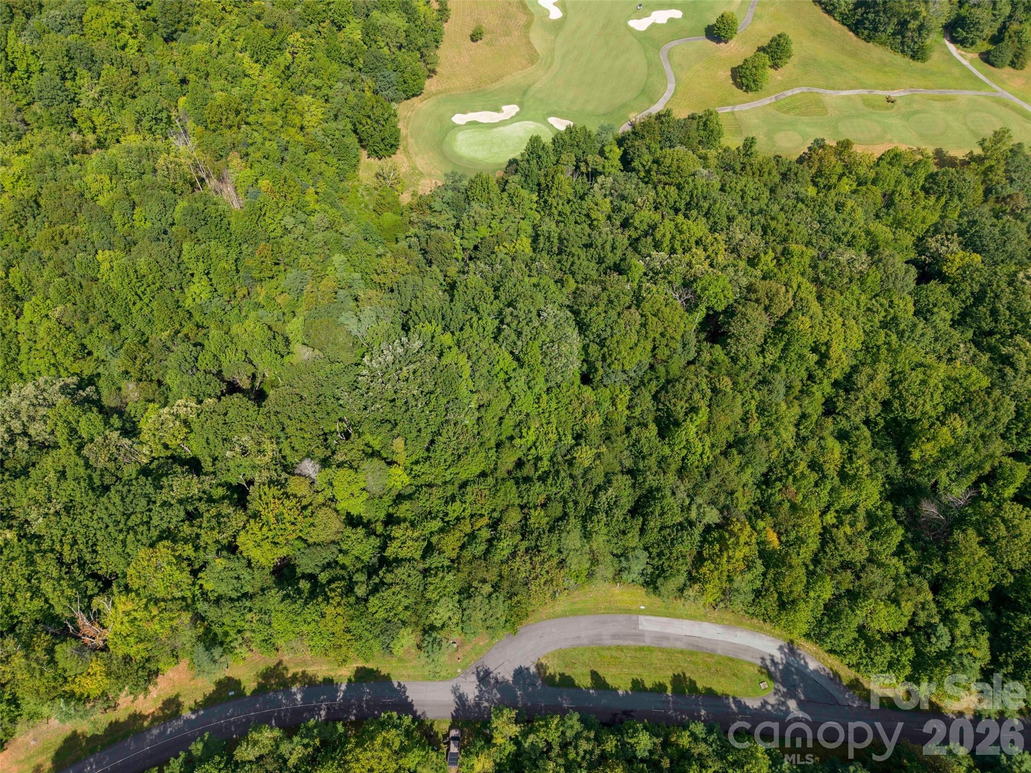 0 Deep Gap Farm Road East, Unit 2040 Mill Spring, NC 28756 - Photo 7 of 8 Gallery Image 7