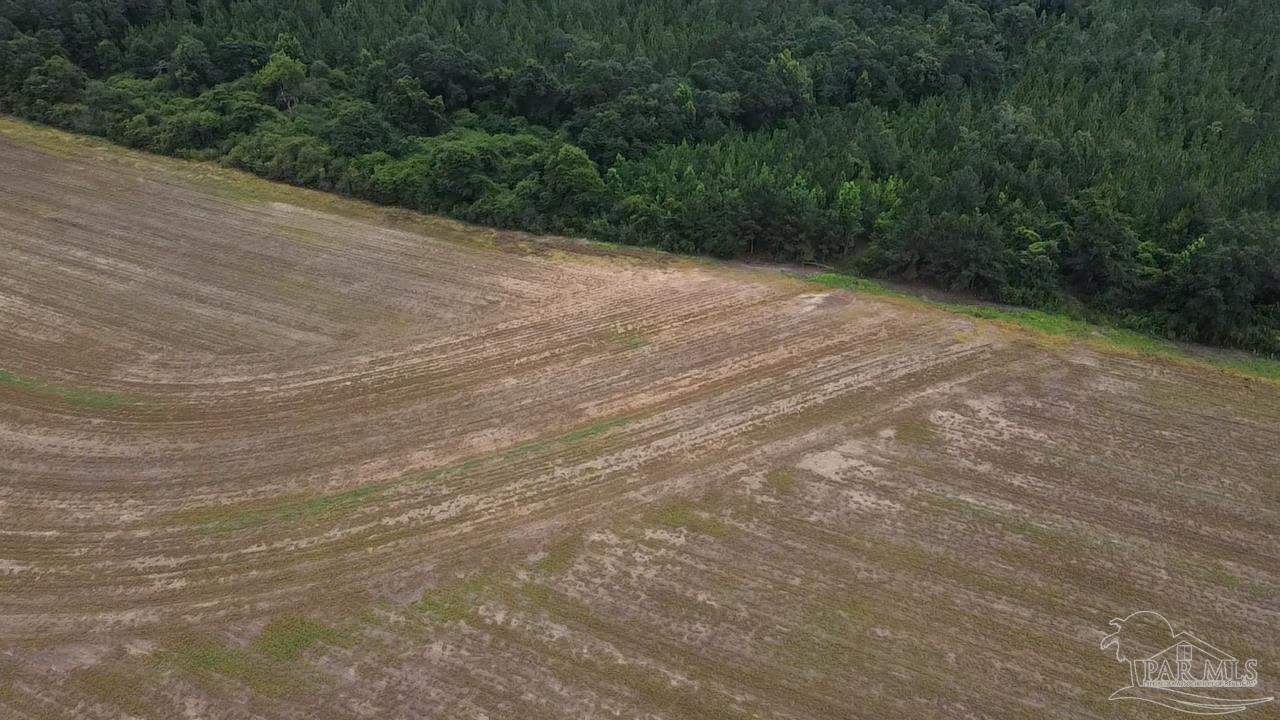 7600 Bratt Road Century, FL 32535 - Photo 17 of 41