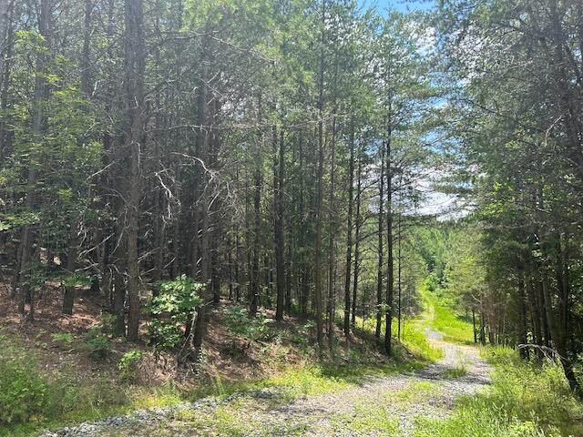 5 Owl Hollow Road Southwest McDonald, TN 37353 - Photo 13 of 32