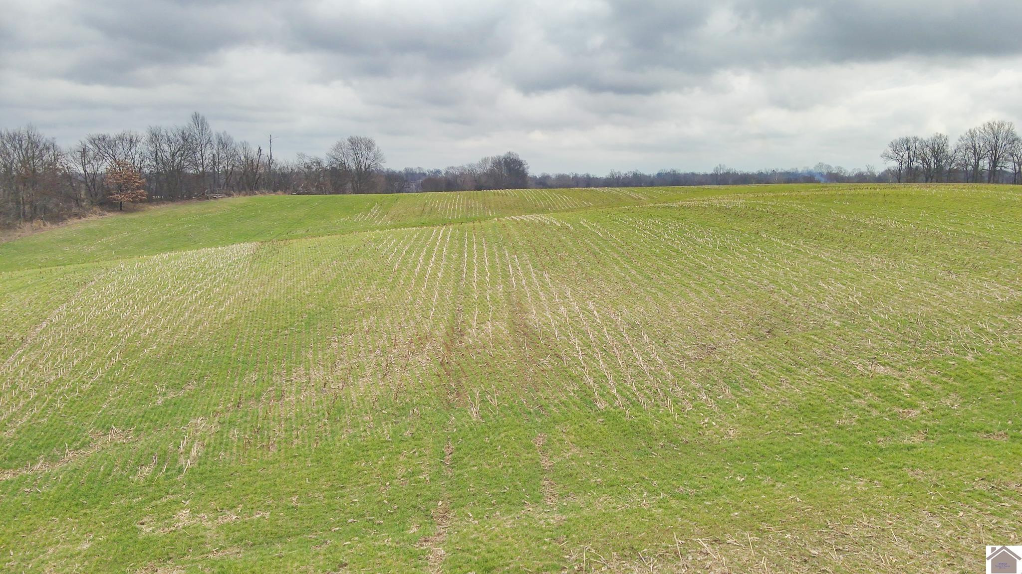 0 Ceredo Road Kevil, KY 42053 - Photo 10 of 10 Photo 10