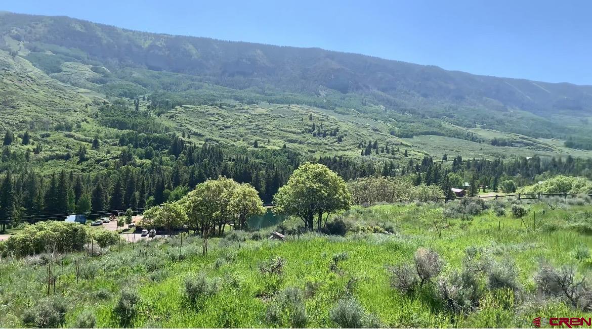 a view of a lush green hillside and houses