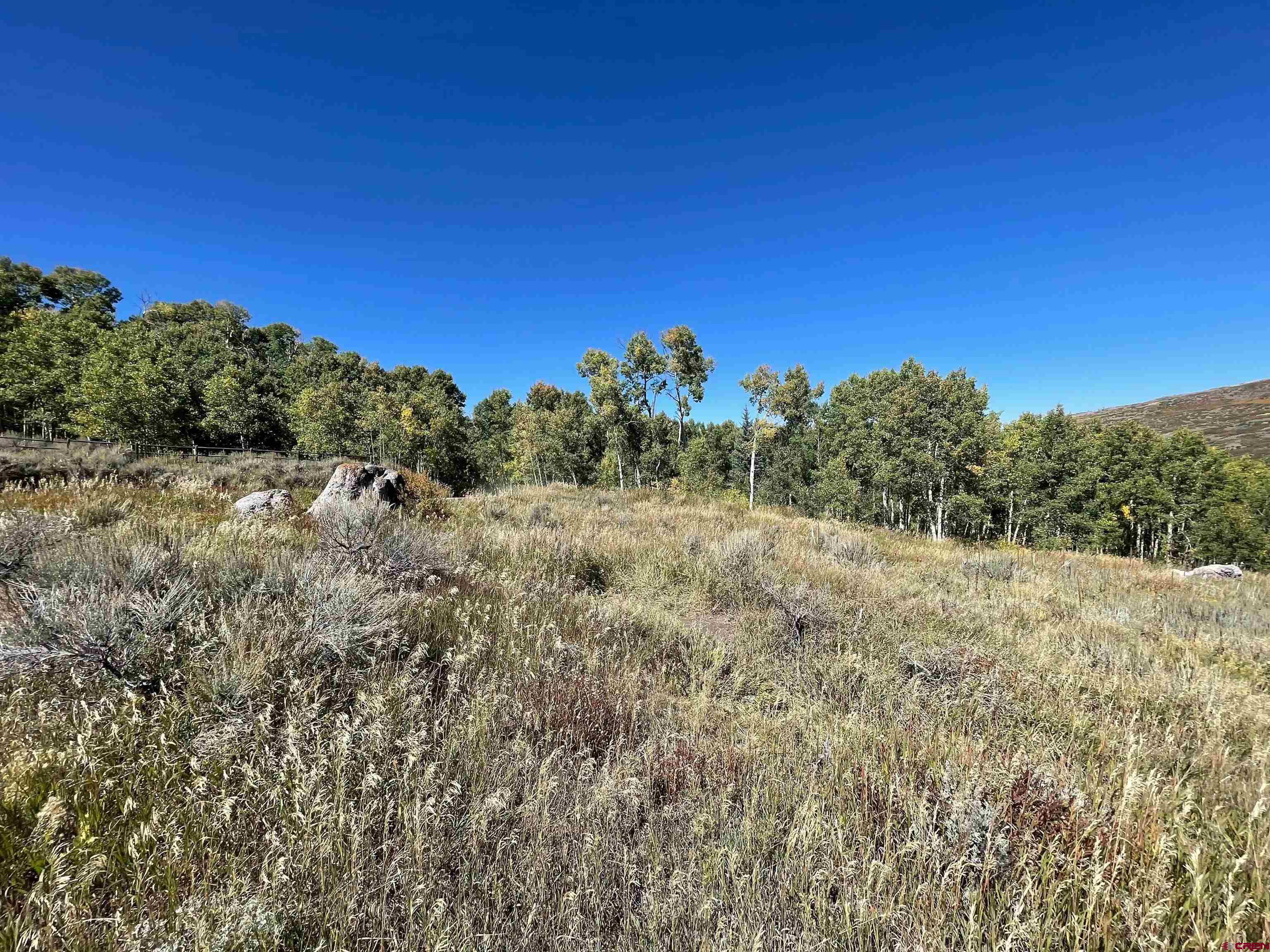 289 Eagles Rest Montrose, CO 81220 - Photo 4 of 8 a view of a field with a tree in the background