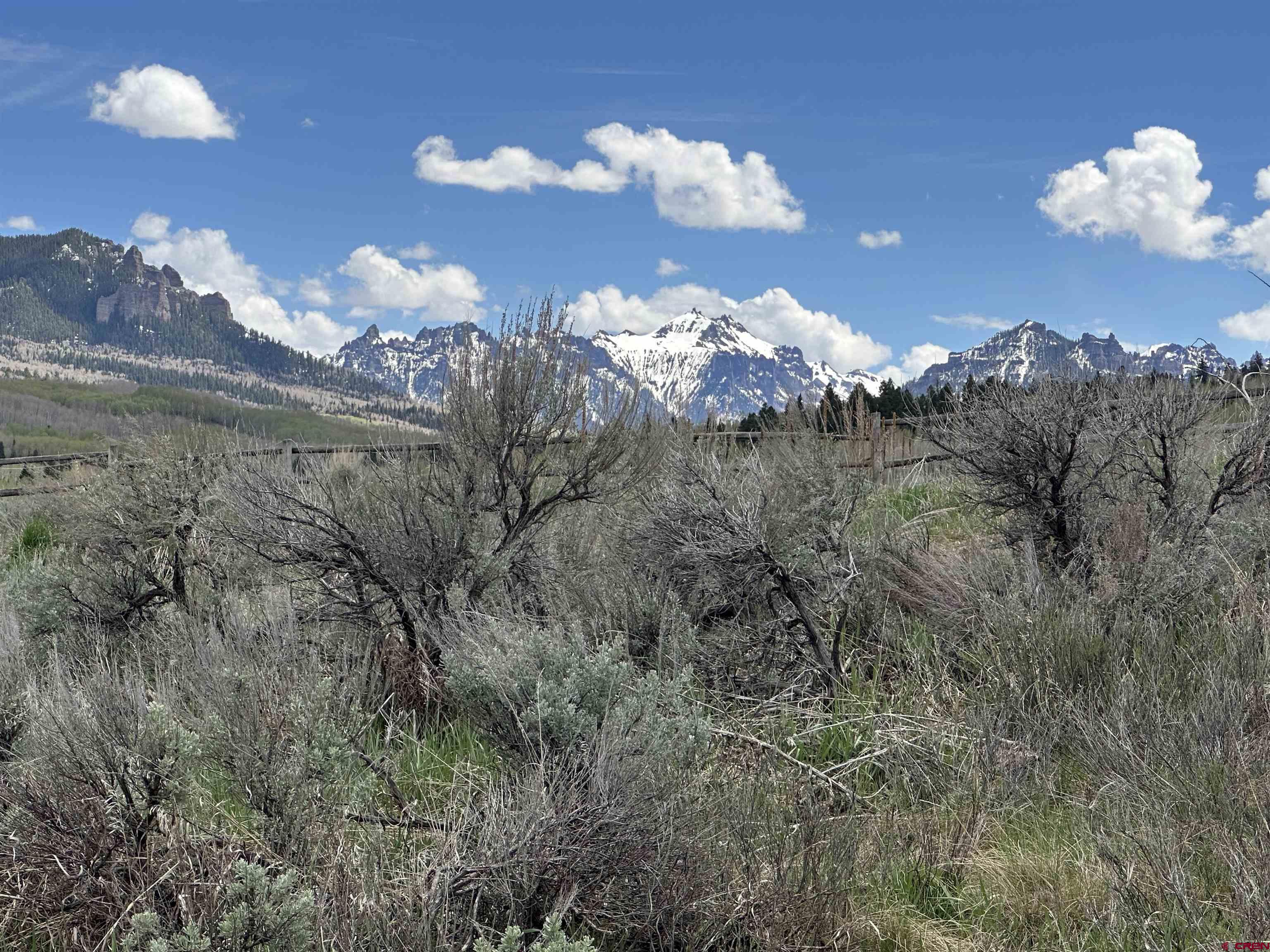 289 Eagles Rest Montrose, CO 81220 - Photo 6 of 8 a view of a flower in a yard