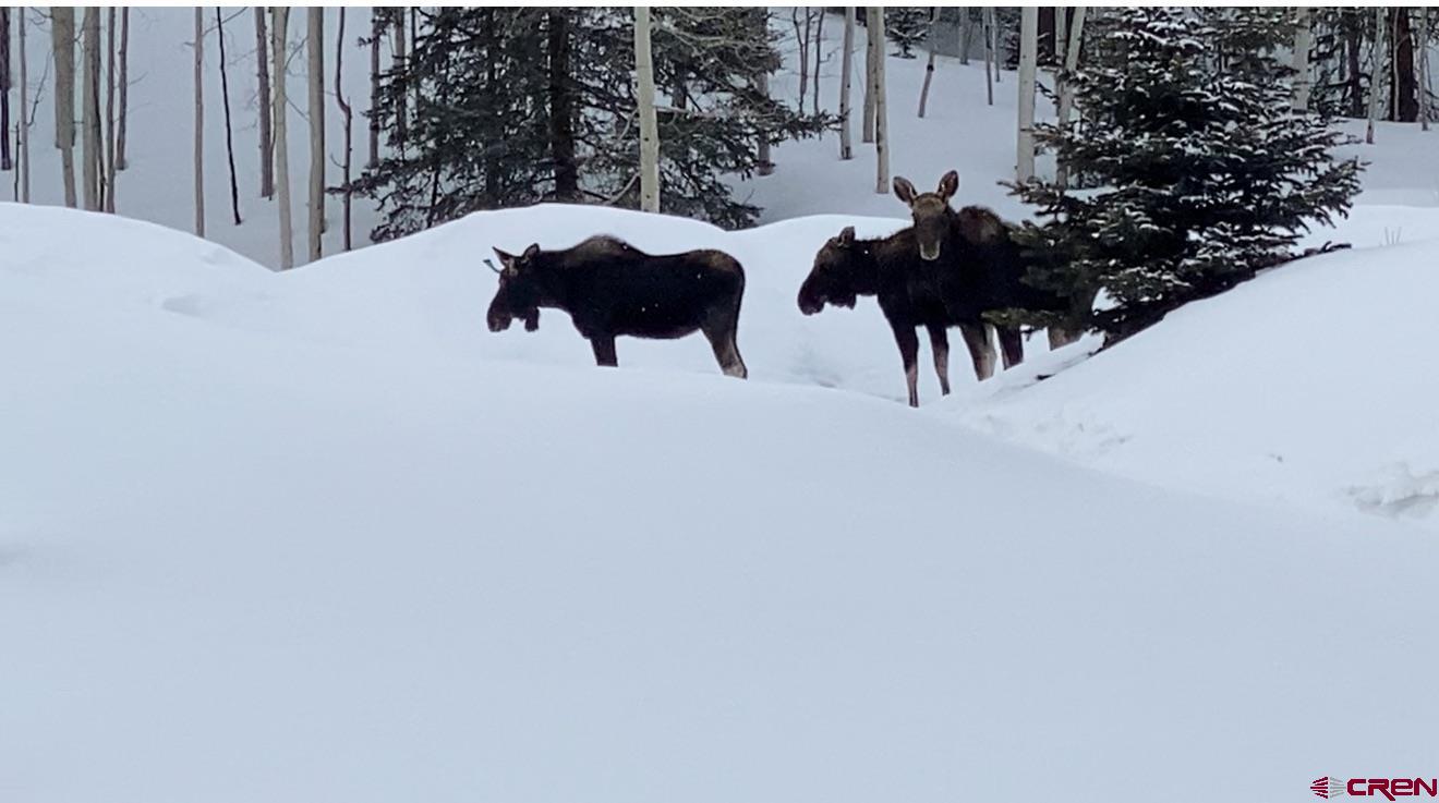 289 Eagles Rest Montrose, CO 81220 - Photo 8 of 8 a view of a house with a yard