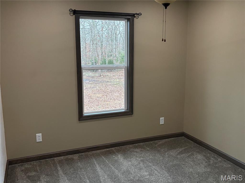 5 Quail Farm Road Buffalo, MO 65622 - Photo 19 of 35