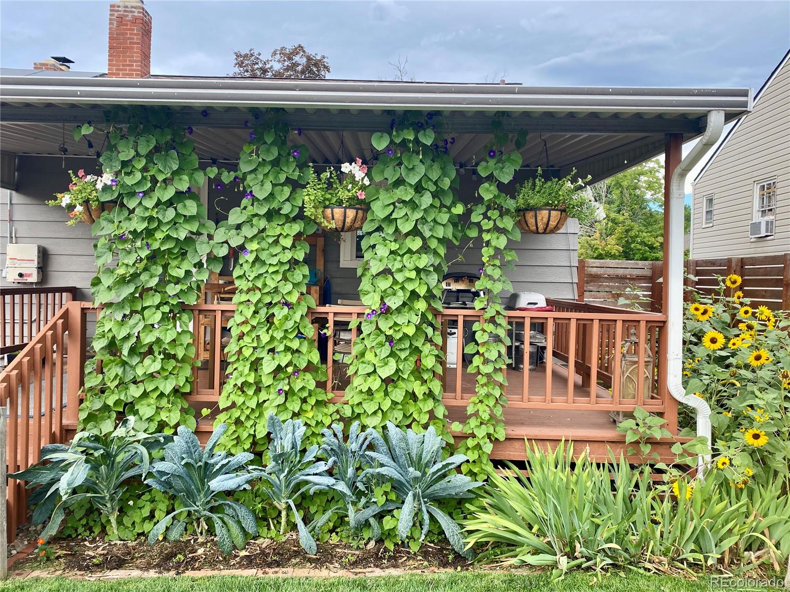 3108 Depew Street Wheat Ridge, CO 80214 - Photo 41 of 49
